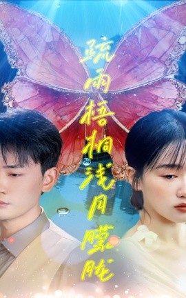 疏雨梧桐浅月朦胧