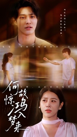 何故惊鸿入梦来