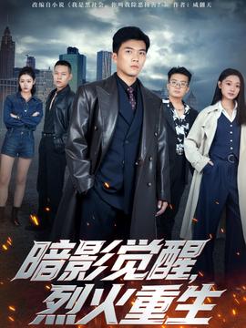 暗影觉醒，烈火重生